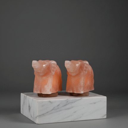 Elephant Set (2 Same Elephants)