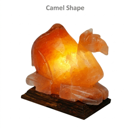 Himalayan Salt Lamp – Hand-Carved Camel Shape